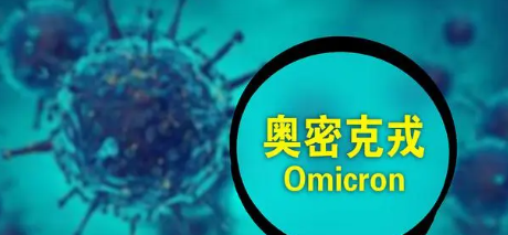 9个奥密克戎亚型毒株正在流行(目前，有九种奥密克戎病毒亚型正在流行)
