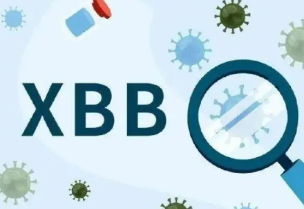 XBB毒株是什么病毒（什么是XBB毒株）