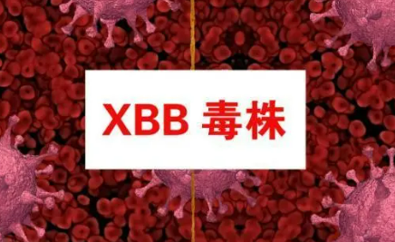 XBB毒株是什么病毒（什么是XBB毒株）