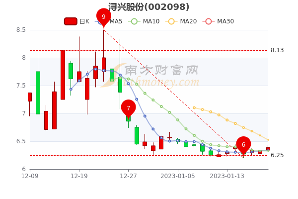 1月20日浔兴股份收盘涨0.95%，股票市盈率是多少？