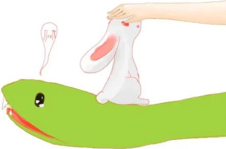 小兔子被蛇用两根WRITEAS