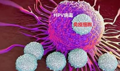 HPV病毒能导致哪些疾病
