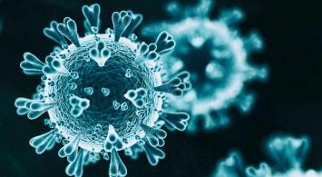 新冠病毒很可能来源于人类（新型冠状病毒很可能源自人类）