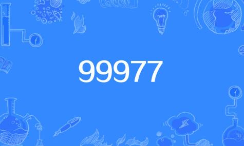 99977的含义是什么意思 网络流行语99977的含义是什么意思