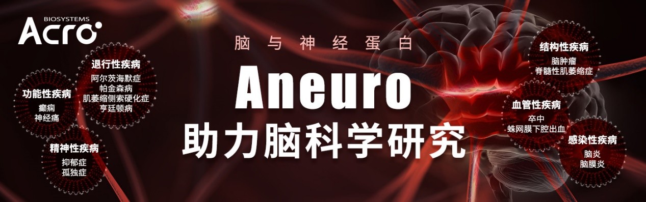 百普赛斯Aneuro Acro Certify在体电生理解决方案，加速神经科学药研上市进程