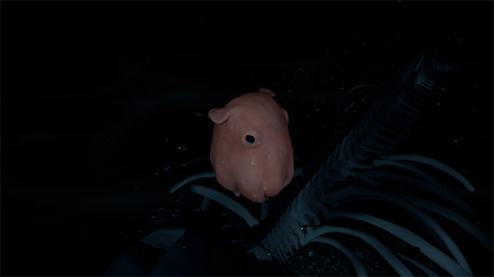 单人探索游戏《鲸葬》Steam页面上线 9月发售