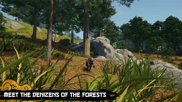 日本战国游戏《战国王朝》预告片聚焦于狩猎系统